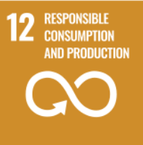 SDG 12: Responsible Consumption and Production
