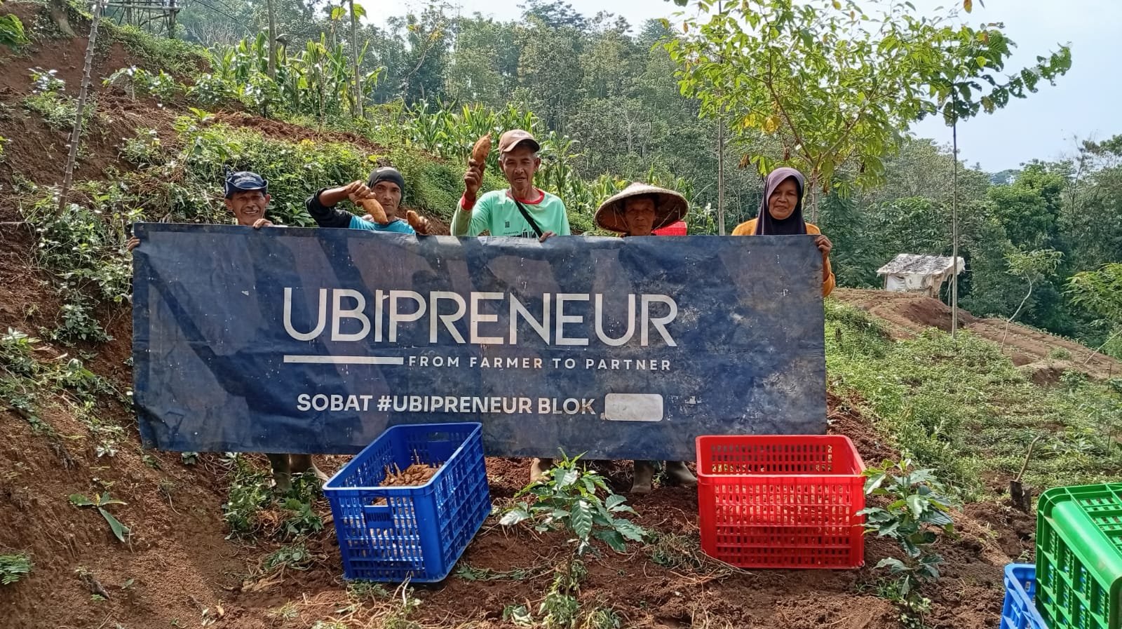 Petani mitra Ubipreneur di area pertanian